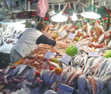 Qualità e tracciabilità del pesce siciliano
