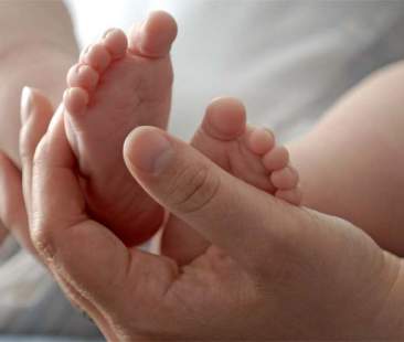 Caos eterologa, violato anonimato donatori di seme e ovuli