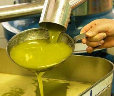 Olio extravergine, la Sicilia non coinvolta nello scandalo