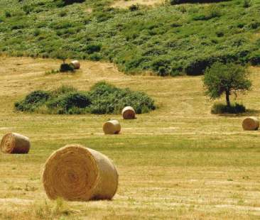 Sviluppo rurale: 2,2 mld per il 2014-2020