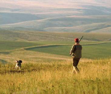 Ddl di riforma sulla caccia, potenzialità e criticità