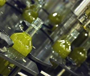 Produzione olio in ripresa, in Sicilia previsioni di +60 per cento