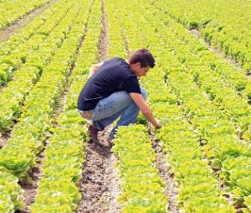 Grazie al Psr 2014/2020 20 mila posti di lavoro per i giovani