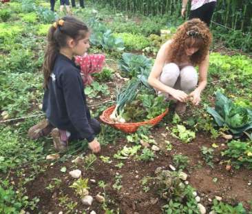 Aziende agricole familiari, guadagni da fame