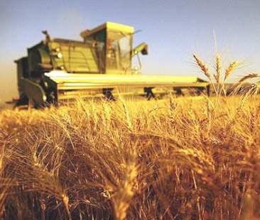 Idee per rilanciare il centro della Sicilia