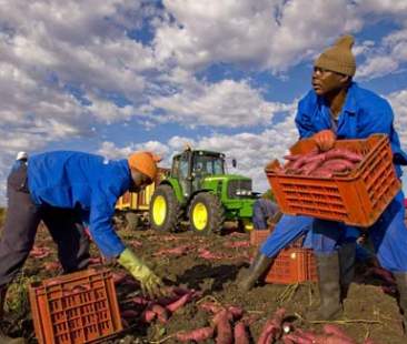 Dagli immigrati 2,6 mld per la Sicilia