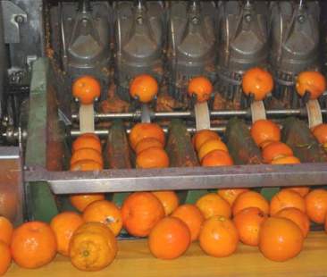 Energia dagli scarti di prodotti agricoli