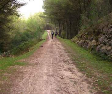 Turismo, la rivoluzione secondo l’assessore Barbagallo Turismo, la rivoluzione secondo l’assessore Barbagallo