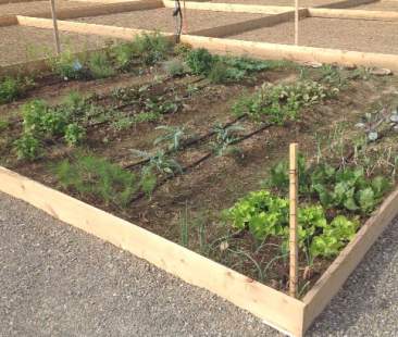 Orti urbani in crescita, Palermo in prima fila