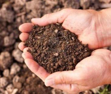 2015: un anno per i suoli