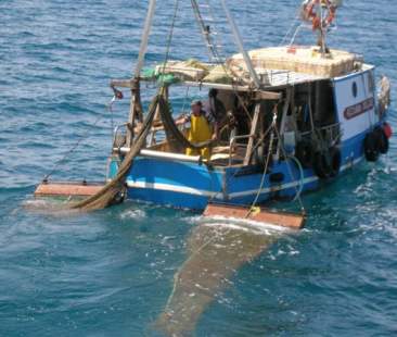 Tutela settore pesca tavolo tecnico a Tunisi