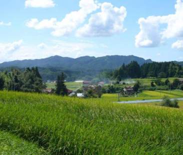 Agricoltura, spesa “pazza” di fine anno