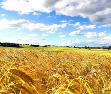 Siccità invernale in Sicilia: colture e bilanci a rischio
