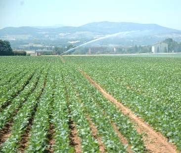 Agricoltura, aumento costi acqua esorbitanti