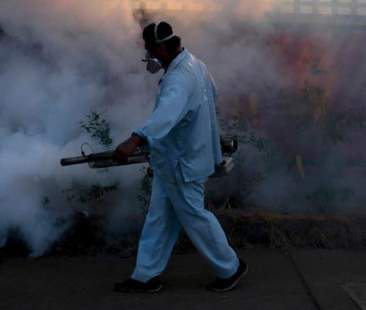 L’Oms sul virus Zika: “Diffusione esplosiva”