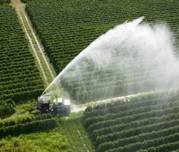 Aumento canone acqua, pronta class action