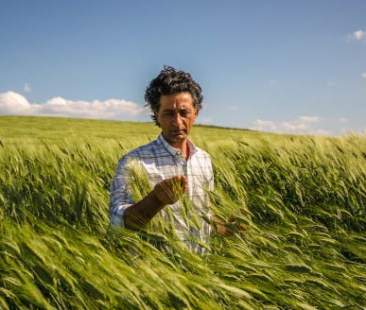 Corsi iap, un’utopia per la Sicilia. Senza bandi nessuna data certa Corsi iap, un’utopia per la Sicilia. Senza bandi nessuna data certa