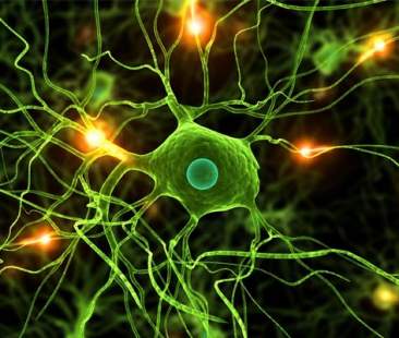 Parkinson ad esordio precoce, nuovi studi