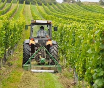 Sicilia, fondi Pac per 15mila imprese