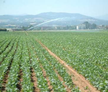 L’aumento del canone irriguo stoppato