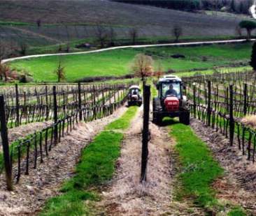 Psr 2014-2020, finalmente i primi bandi