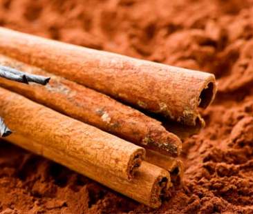 Un pizzico di cannella nei cibi per avere una vita più sana