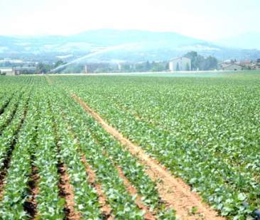 Enti regionali più “leggeri” per una loro valorizzazione