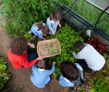 Orti urbani, il futuro verde della Sicilia