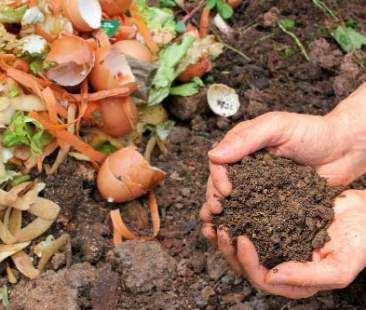 Compostiamoci bene! Gli scarti come risorsa