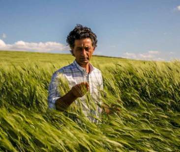 50 milioni di euro per il credito alle imprese agricole siciliane