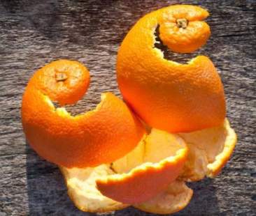 Brioche e tessuti dagli scarti delle arance