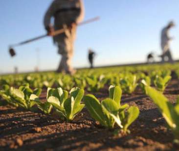 Pac: prorogato al 15 giugno il termine di presentazione delle domande