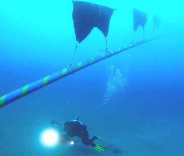 Elettrodotto Sorgente-Rizziconi, oggi l’inaugurazione con Renzi