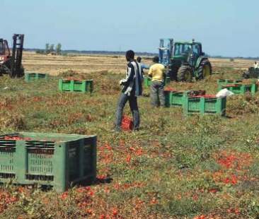 Contrasto al caporalato, siglato accordo