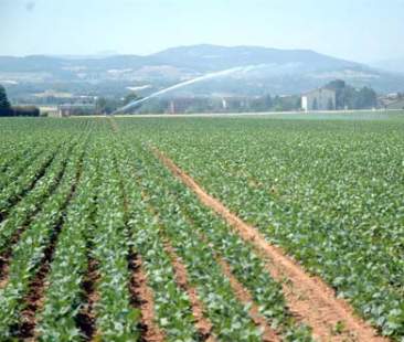 Consorzi di Bonifica, soldi solo a perdere