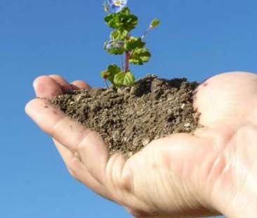 Catania verso il Distretto dell’economia solidale Catania verso il Distretto dell’economia solidale