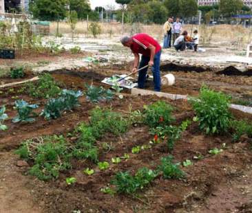 Catania – Passi avanti per gli Orti urbani di Librino