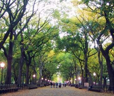 A Palermo più elevata incidenza di verde e aree protette
