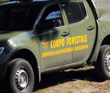 Riforma forestali, tutto tace sui costi