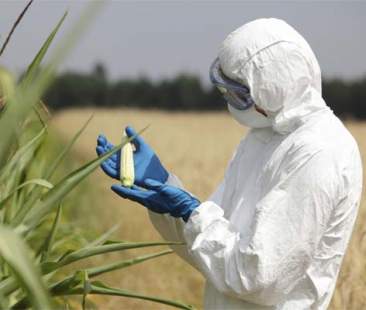 Ogm, l’Italia ne fa ampiamente a meno