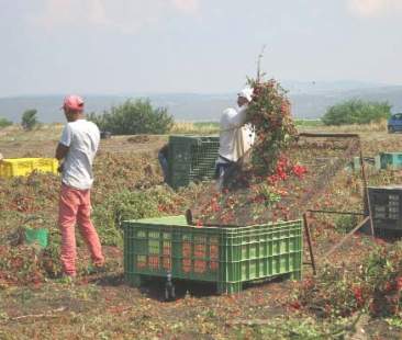 Caporalato, nuove idee per contrastarlo