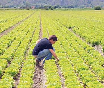 Agricoltura: +12% lavoratori under 35