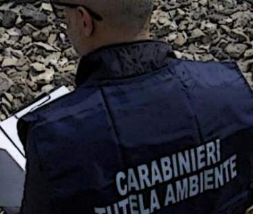 Ecoreati, gli effetti delle norme attuate