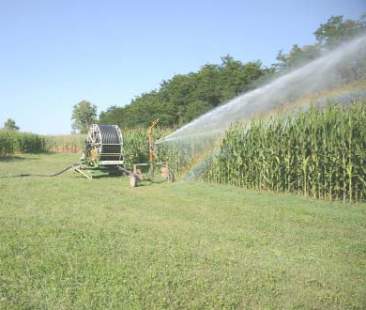Consorzi bonifica, Sicilia sempre nel caos