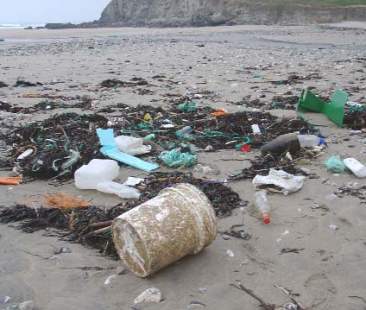 Coste inquinate: 2 reati ogni Km. Maglia nera alla Sicilia