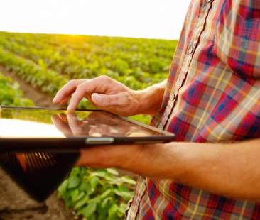 Giovani siciliani, esodo dai campi