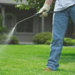 Bioeconomia, autorizzato impiego diserbante di origine naturale