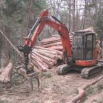 Certificazione forestale, Sicilia priva di riconoscimento