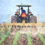 Vincenzo Cusumano, neodirettore dell’Istituto regionale vite e olio