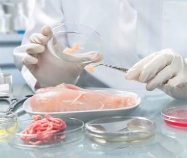 Sicurezza alimentare e malattie. Istituto zooprofilattico apre le porte